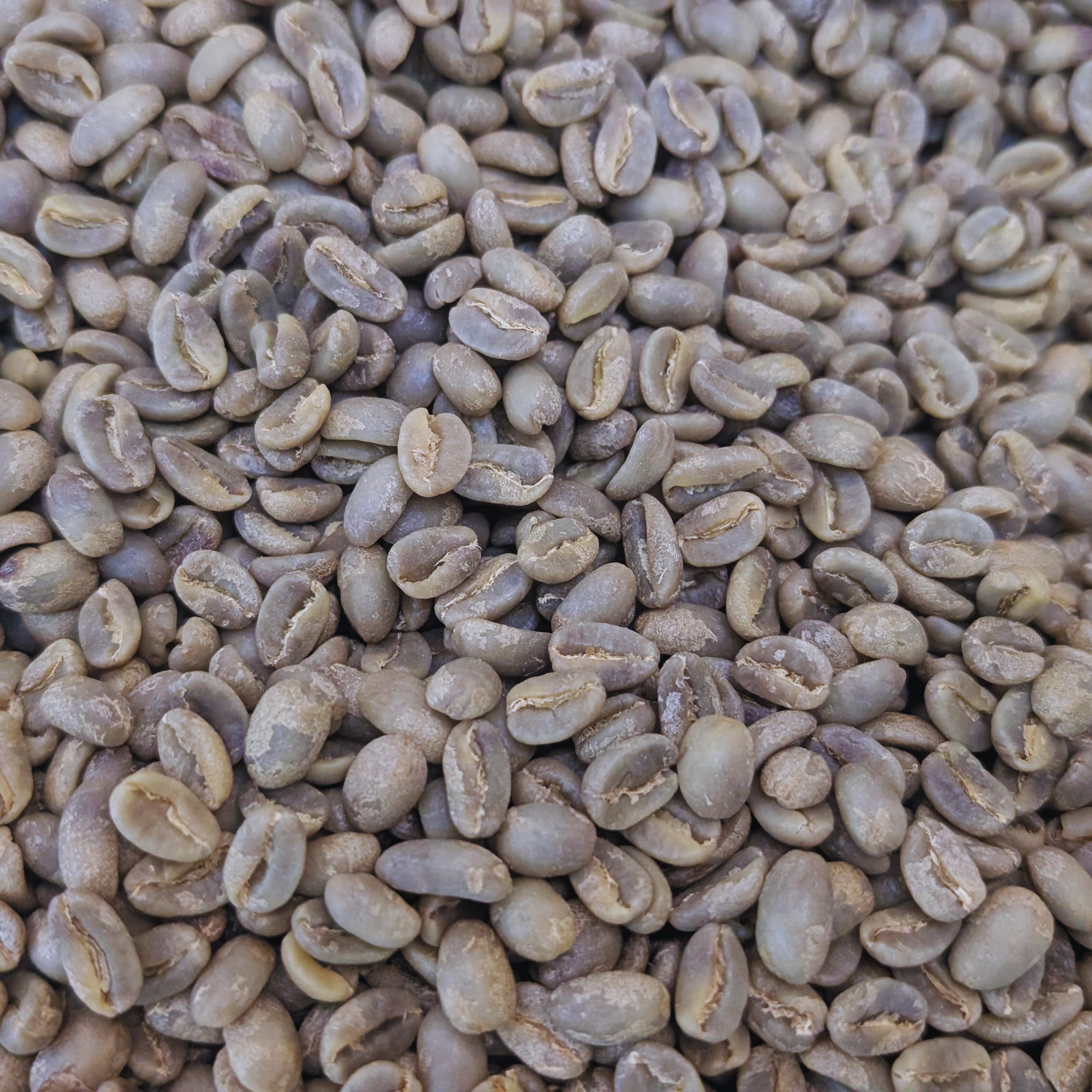 Panama Geisha Boquete SCA 90+