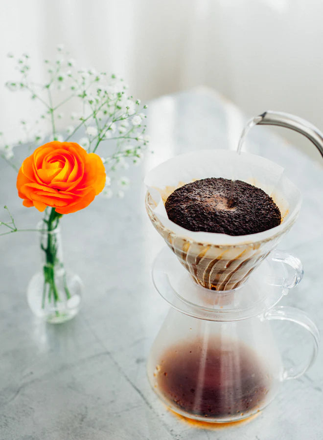 Hario - Glass Coffee Brewing Kit V60-02