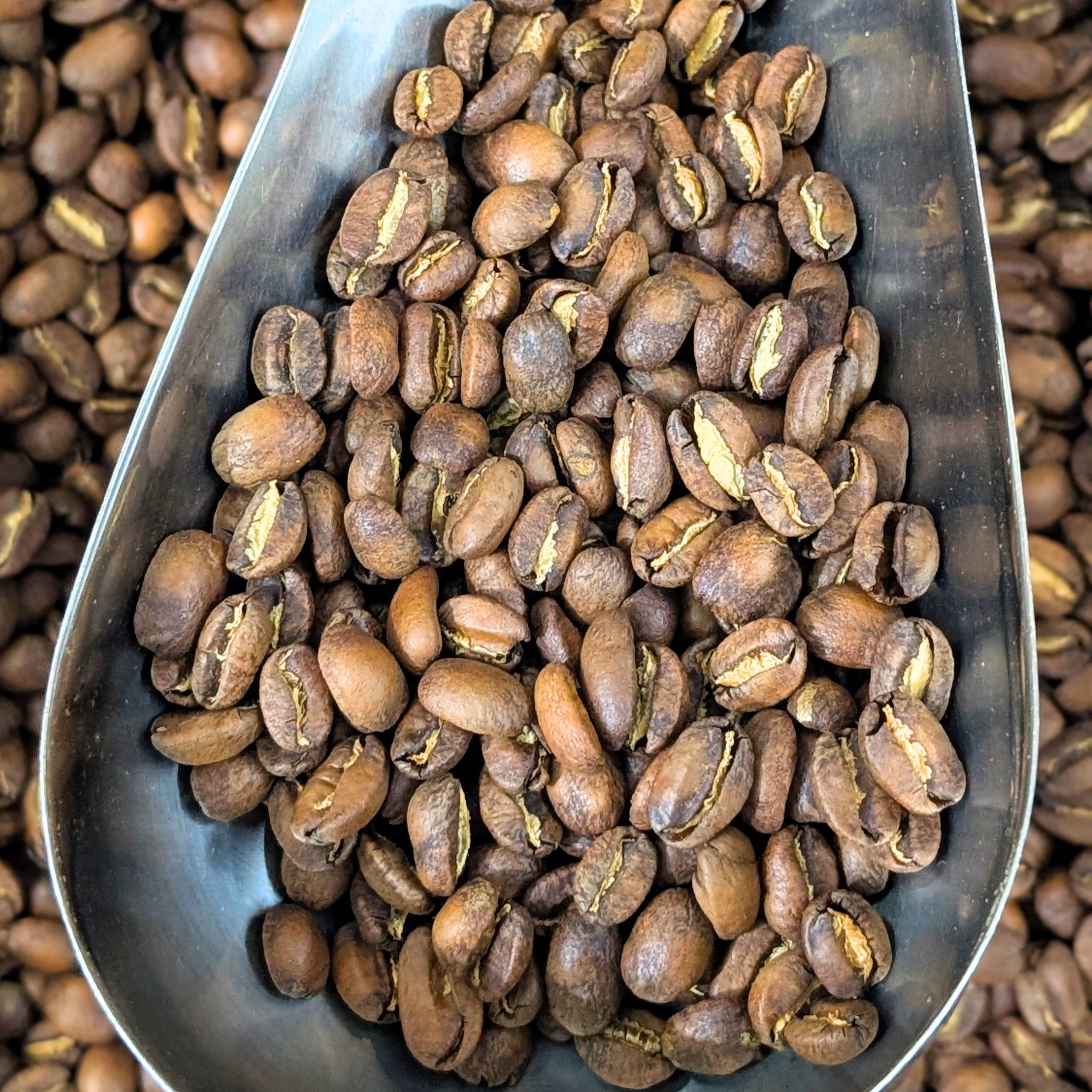 Panama Geisha Boquete SCA 90+