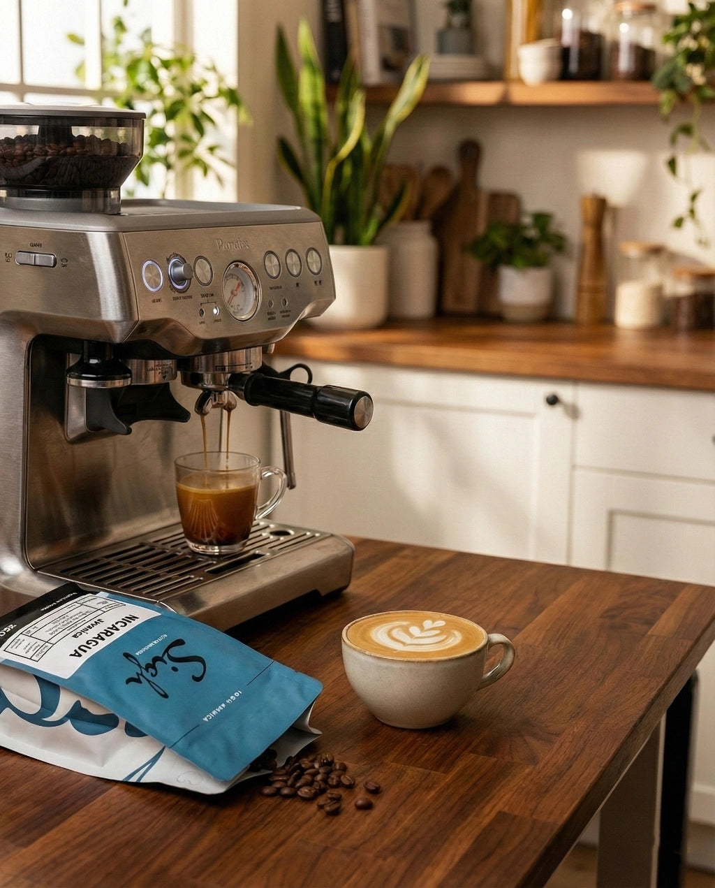 Nicaragua Roasted Coffee Beans